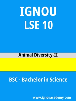 LSE 10 Solved Assignment