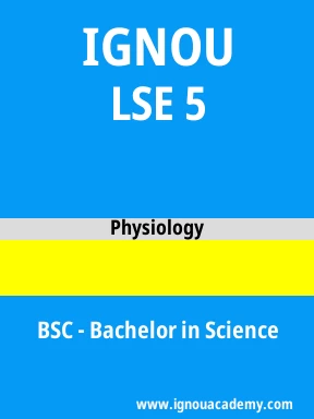 LSE 5 Solved Assignment