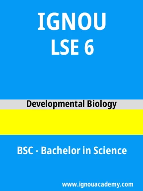 LSE 6 Solved Assignment