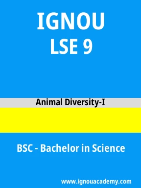 LSE 9 Solved Assignment