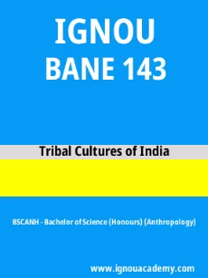 Image ignouacademy-com-ignou-bscanh-sample-question-papers-html-div-product-image-year-69744