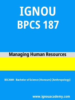 BPCS 187 Solved Assignment