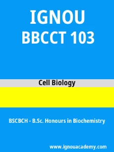 Image ignouacademy-com-ignou-bscbch-sample-question-papers-html-div-product-image-year-75623
