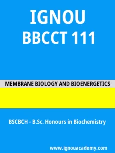 Image ignouacademy-com-ignou-bscbch-sample-question-papers-html-div-product-image-year-40452