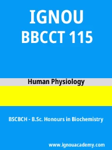 Image ignouacademy-com-ignou-bscbch-sample-question-papers-html-div-product-image-year-80119