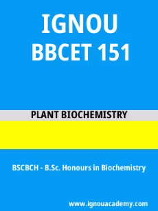 Image ignouacademy-com-ignou-bscbch-sample-question-papers-html-div-product-image-year-13494