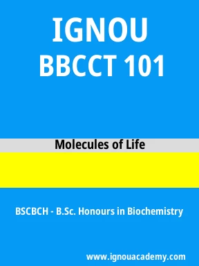 BBCCT 101 Solved Assignment