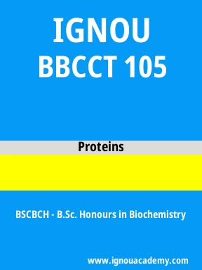 BBCCT 105 Solved Assignment