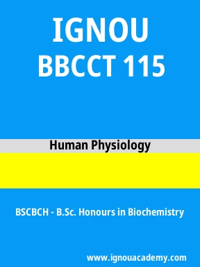BBCCT 115 Solved Assignment