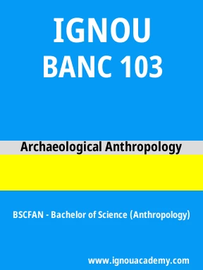 BANC 103 Solved Assignment