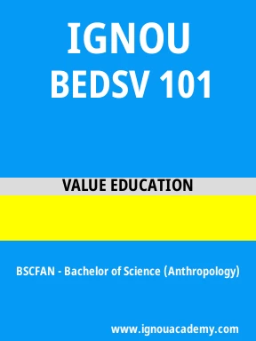 BEDSV 101 Solved Assignment