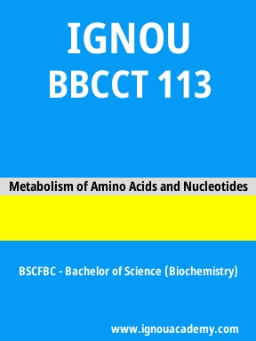 BBCCT 113 Solved Assignment