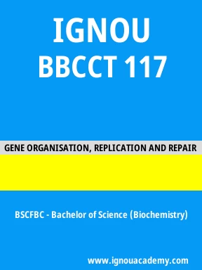 BBCCT 117 Solved Assignment