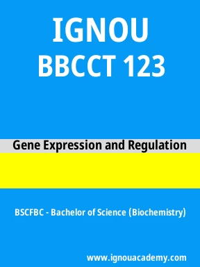 BBCCT 123 Solved Assignment