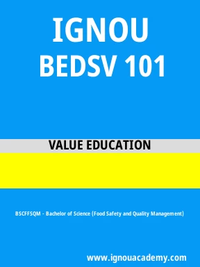 BEDSV 101 Solved Assignment