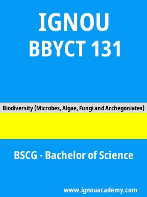 BBYCT 131 Solved Assignment