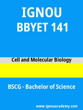 BBYET 141 Solved Assignment