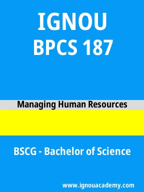 BPCS 187 Solved Assignment
