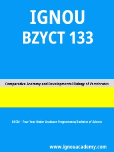 Image ignouacademy-com-ignou-bscm-sample-question-papers-html-div-product-image-year-19278