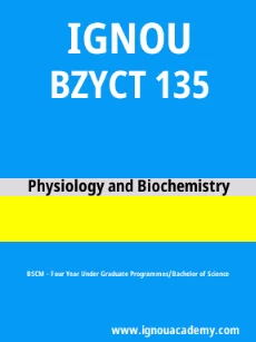 Image ignouacademy-com-ignou-bscm-sample-question-papers-html-div-product-image-year-90254