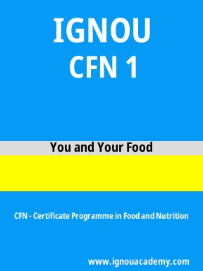 CFN 1 Solved Assignment