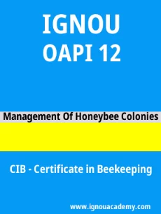 Image ignouacademy-com-ignou-cib-sample-question-papers-html-div-product-image-papers-50812