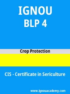Image ignouacademy-com-ignou-cis-sample-question-papers-html-div-product-image-papers-62840