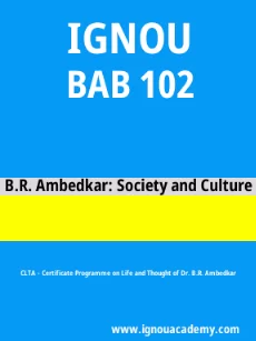 Image ignouacademy-com-ignou-clta-sample-question-papers-html-div-product-image-year-33037