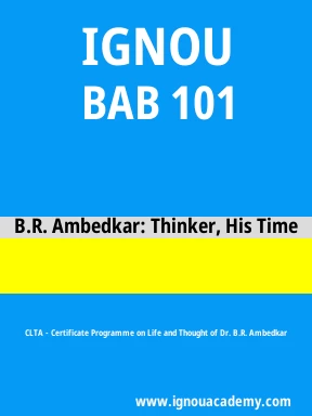 BAB 101 Solved Assignment