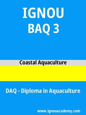 BAQ 3 Solved Assignment