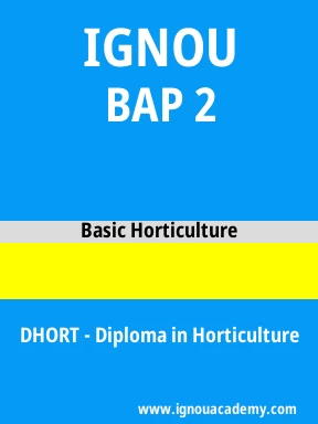 BAP 2 Solved Assignment