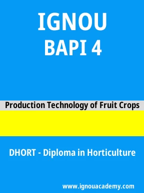 BAPI 4 Solved Assignment
