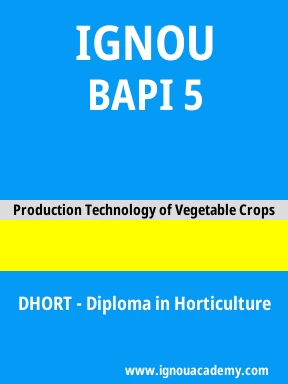 BAPI 5 Solved Assignment
