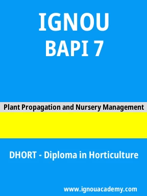 BAPI 7 Solved Assignment