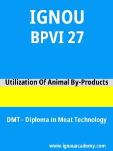 Image ignouacademy-com-ignou-dmt-sample-question-papers-html-div-product-image-year-39948