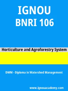 Image ignouacademy-com-ignou-dwm-sample-question-papers-html-div-product-image-papers-16962
