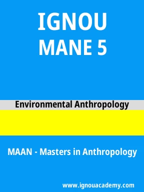 MANE 5 Solved Assignment