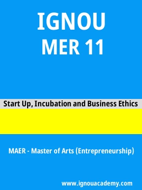 MER 11 Solved Assignment