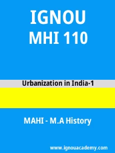 Image ignouacademy-com-ignou-mahi-sample-question-papers-html-div-product-image-year-16912