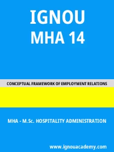 Image ignouacademy-com-ignou-mha-sample-question-papers-html-div-product-image-papers-43196