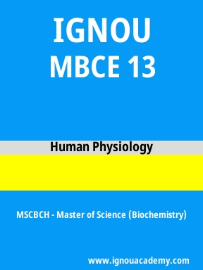 MBCE 13 Solved Assignment
