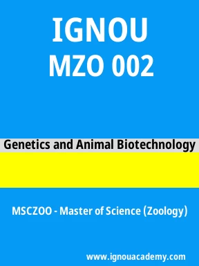 MZO 002 Solved Assignment