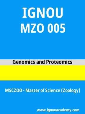 MZO 005 Solved Assignment
