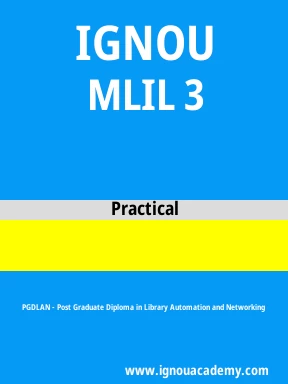 MLIL 3 Solved Assignment