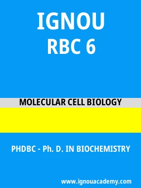 RBC 6 Solved Assignment